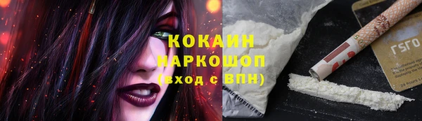 стаф Алзамай