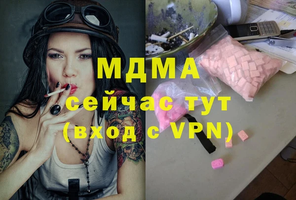 стаф Алзамай