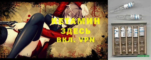 гидра Щигры