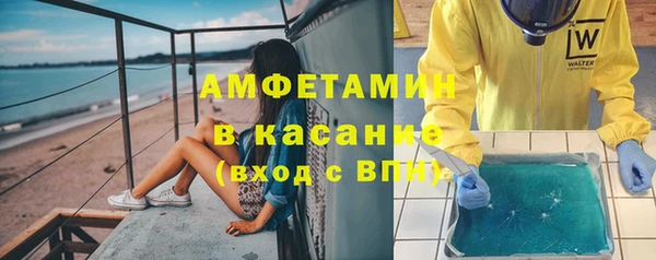 стаф Алзамай
