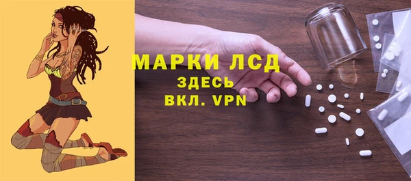 стаф Алзамай